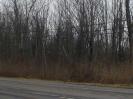 VL Erie Rd, Brant, NY 14027