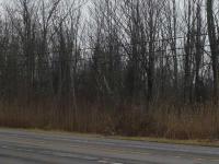 VL Erie Rd, Brant, NY 14027