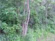Lot 15 Canal Road, Camillus, NY 13031
