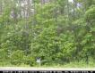 LOT Jerusalem Road, Courtland, VA 23837