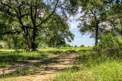 TBD(+/- 43 acres) County Road 423 Somerville, TX 77879