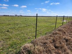 3001 ( lot only) Dolphin Drive Coupland, TX 78615