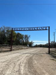 1215 Walleye Creek Trail Lexington, TX 78947