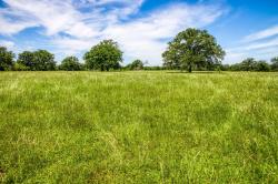 TBD(+/- 20 acres) County Road 423 Somerville, TX 77879