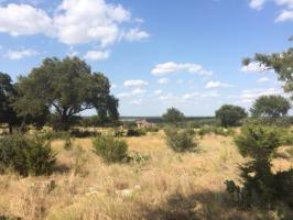 1201 Eagle Point Dr, Georgetown, TX 78628