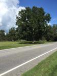 Us Highway 98, Elberta, AL 36530