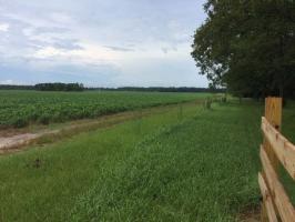 Underwood Road, Foley, AL 36536