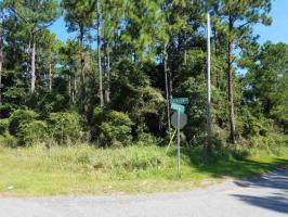 Marguerite Dr, Coden, AL 36523