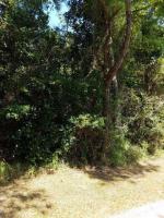 Marguerite Dr, Coden, AL 36523