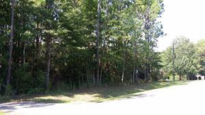Riverview Road, Coden, AL 36523