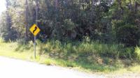 Riverview Road, Coden, AL 36523