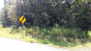 Riverview Road, Coden, AL 36523