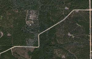 Truck Route 17, Robertsdale, AL 36551