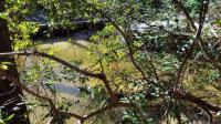 Fernwood Circle, Foley, AL 36535