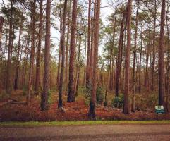 9456 Bay Road, Magnolia Springs, AL 36555