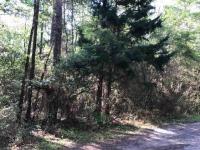 101 Marie Ln, Daphne, AL 36526