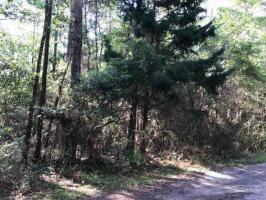 101 Marie Ln, Daphne, AL 36526