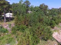 Dauphin Island Pkwy, Mobile, AL 36523