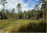 Scott Road, Spanish Fort, AL 36527