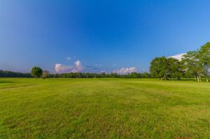 Carver Road, Foley, AL 36535