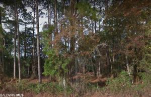 E 16th Avenue, Gulf Shores, AL 36542