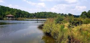 9446 Brighton Avenue, Elberta, AL 36530