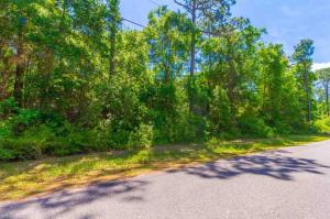 Redfish Point Road, Lillian, AL 36549