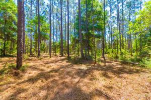 Scott Lane, Lillian, AL 36549