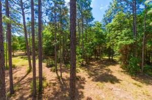 Scott Lane, Lillian, AL 36549