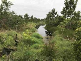 Meeting House Sq, Orange Beach, AL 36561