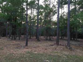 0 Mill House Rd, Gulf Shores, AL 36542