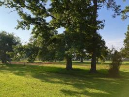 12750 Alabama Street, Elberta, AL 36530