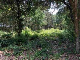 1428 Pine Ridge Drive, Gulf Shores, AL 36542