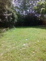 Cedar Street, Foley, AL 36535