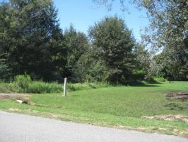 Brinks Willis Road, Foley, AL 36535