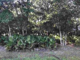 E Fairway Drive, Gulf Shores, AL 36542