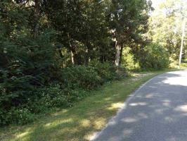 2007 Clubhouse Drive, Lillian, AL 36549