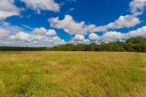 Breman Road, Elberta, AL 36530