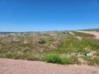 Other Earl Tract High Noon Dr. Hot Springs, SD 57747