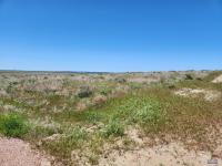 Other Earl Tract High Noon Dr. Hot Springs, SD 57747