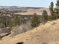 TBD Neck Yoke Rd Rapid City, SD 57702