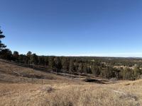 TBD Neck Yoke Rd Rapid City, SD 57702