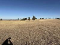 TBD Neck Yoke Rd Rapid City, SD 57702
