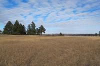 0000 Neck Yoke Rd Tbd Neck Yoke Rd Rapid City, SD 57702