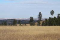 0000 Neck Yoke Rd Tbd Neck Yoke Rd Rapid City, SD 57702