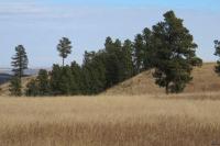 0000 Neck Yoke Rd Tbd Neck Yoke Rd Rapid City, SD 57702