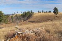 0000 Neck Yoke Rd Tbd Neck Yoke Rd Rapid City, SD 57702