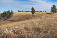 0000 Neck Yoke Rd Tbd Neck Yoke Rd Rapid City, SD 57702
