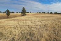 0000 Neck Yoke Rd Tbd Neck Yoke Rd Rapid City, SD 57702