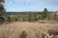 0000 Neck Yoke Rd Tbd Neck Yoke Rd Rapid City, SD 57702